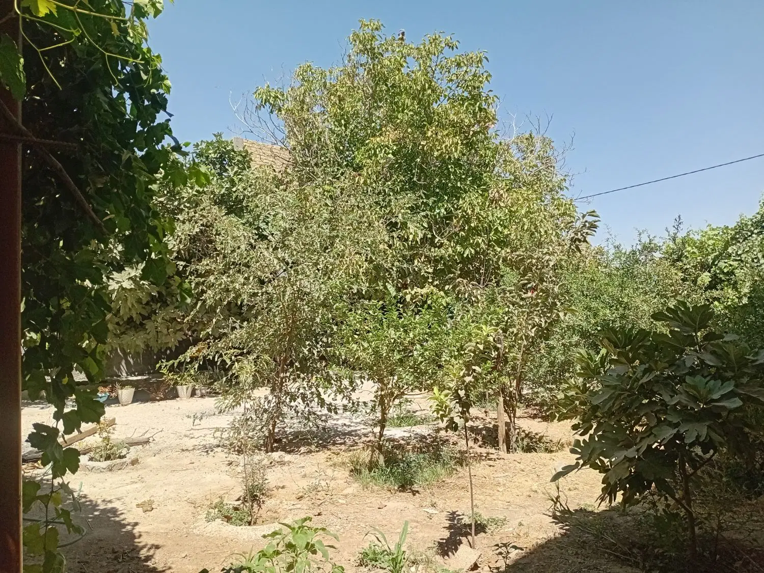 فاروق.. فروش منزل مسکونی ۳۸۰متری