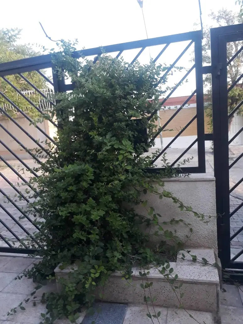 ویلایی ۲۵۰ متری بازسازی شده ۲ خواب دو ممر