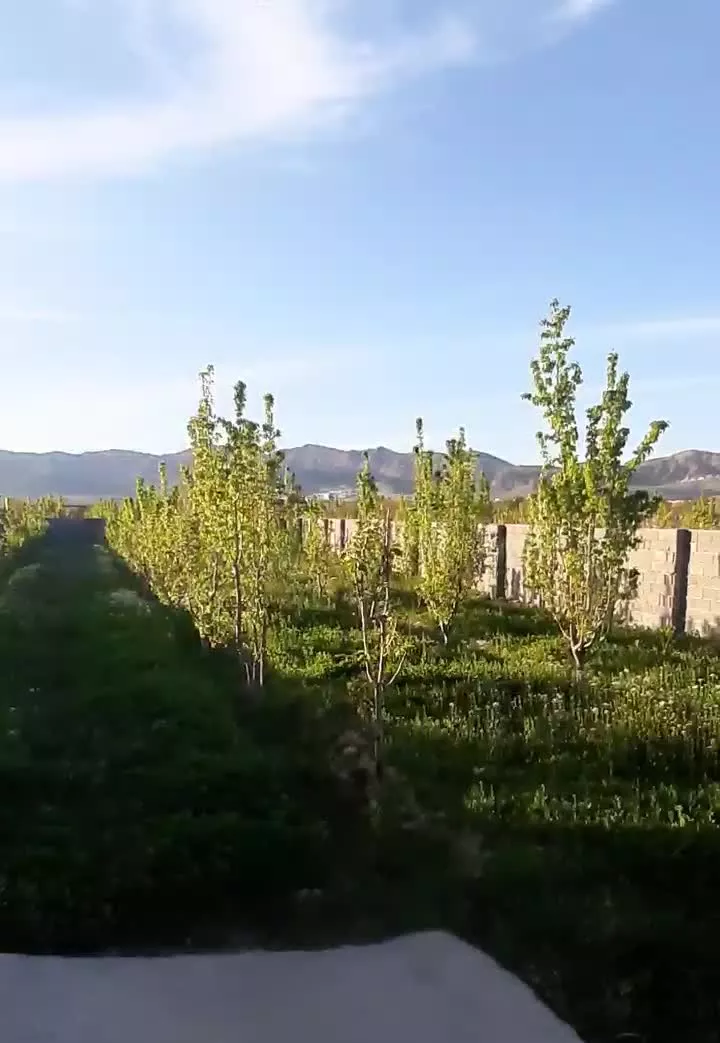 باغ ۱۰۰۰متری آبی انتهای  آذرسا ۷وصل به راه اصلی