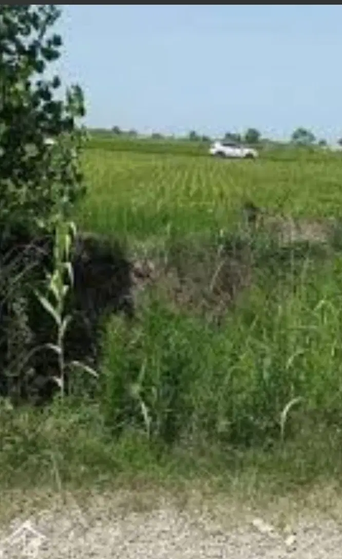 واگذاری زمین زراعی ب اجاره
