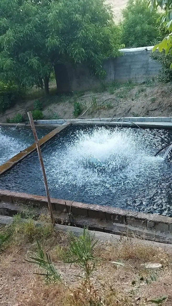 باغ کردستان