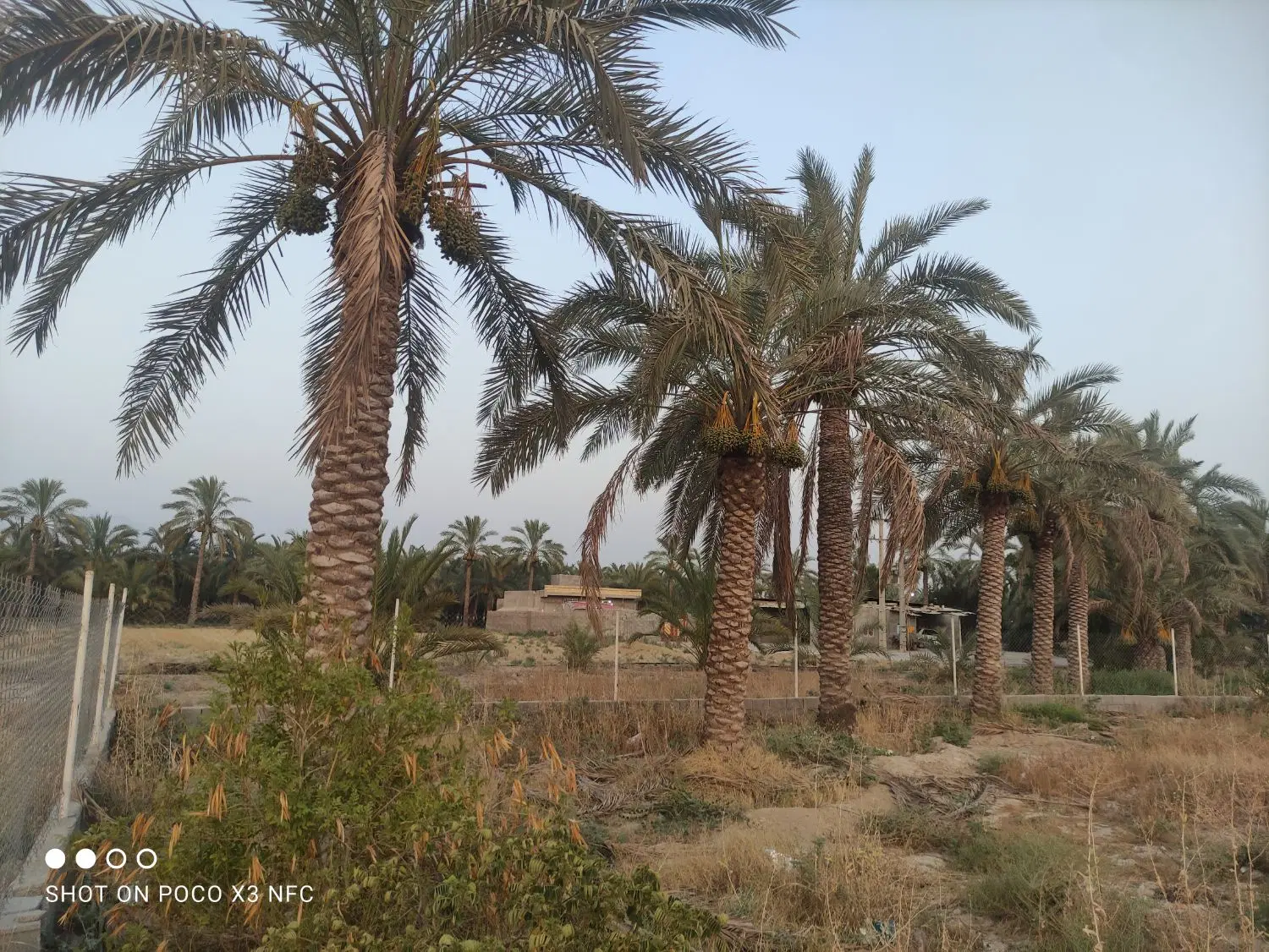 زمین باغ شهری 1000متری
