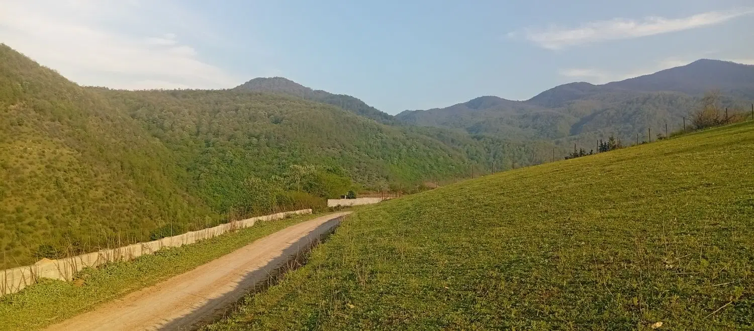 زمین روستای نصفی الش دشت