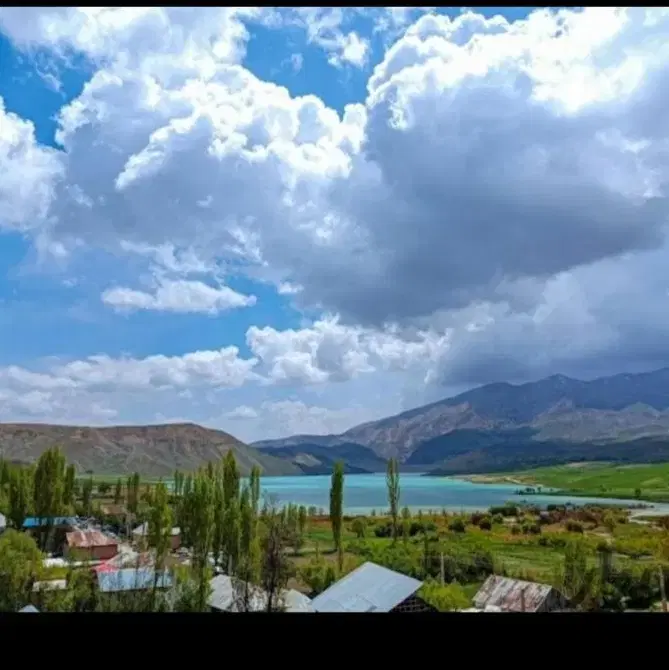 زمین کشاورزی ، سند تک برگ، شخصی، سله بن