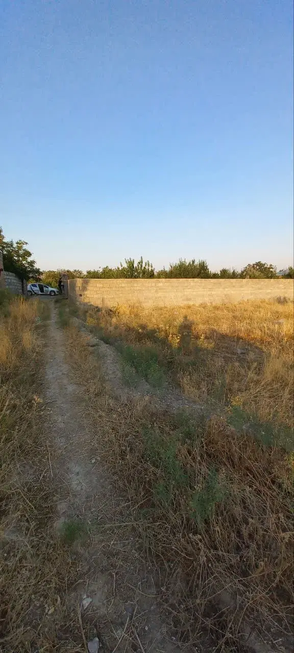زمین باغی