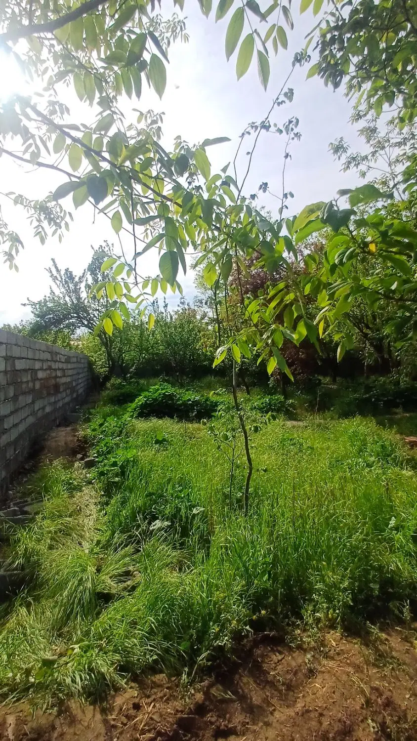 ۴۰۰ متر باغچه چهاردیواری سنددار مفت مفت