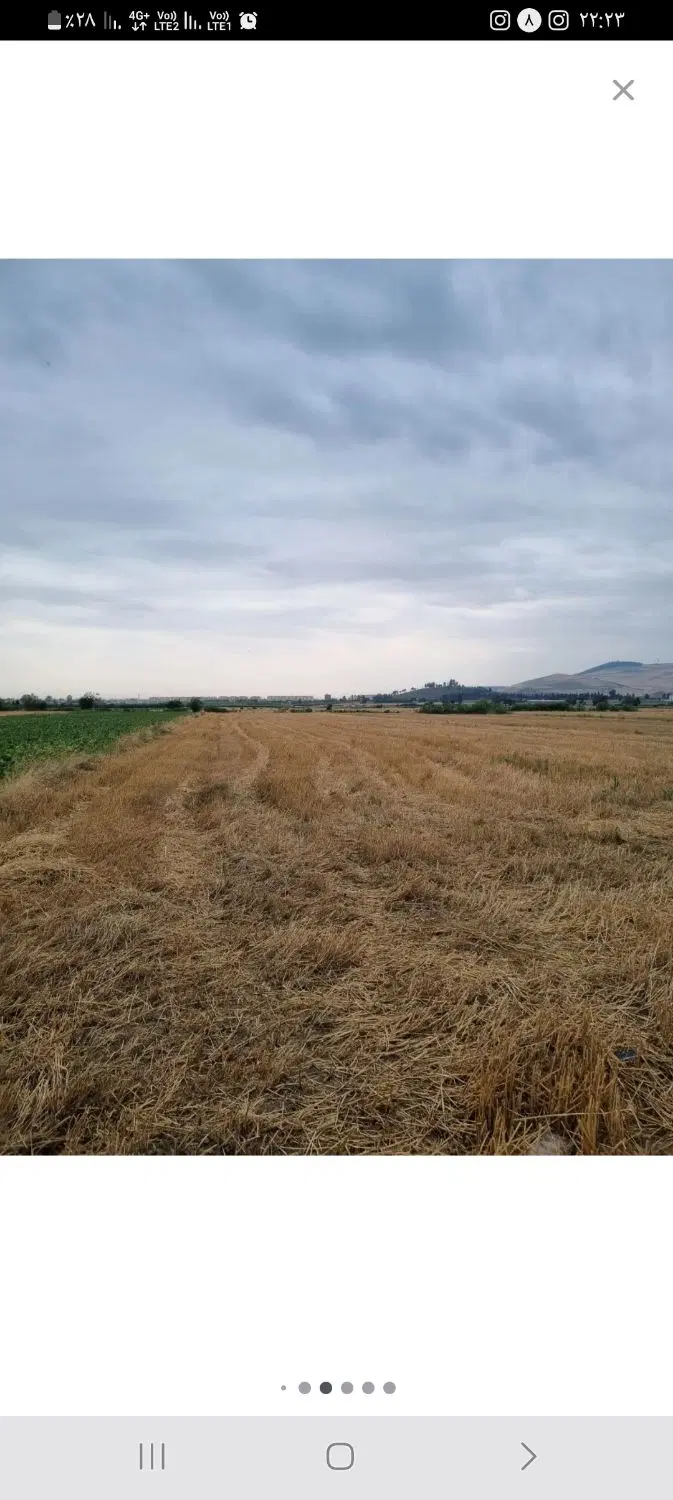 هزار متر زمین جای شالی کوهمیان آزادشهر