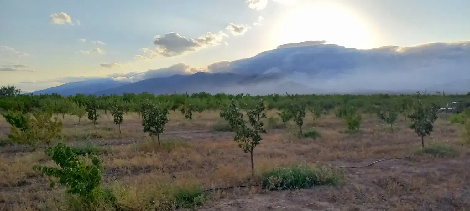 باغ و زمین  بر جاده
