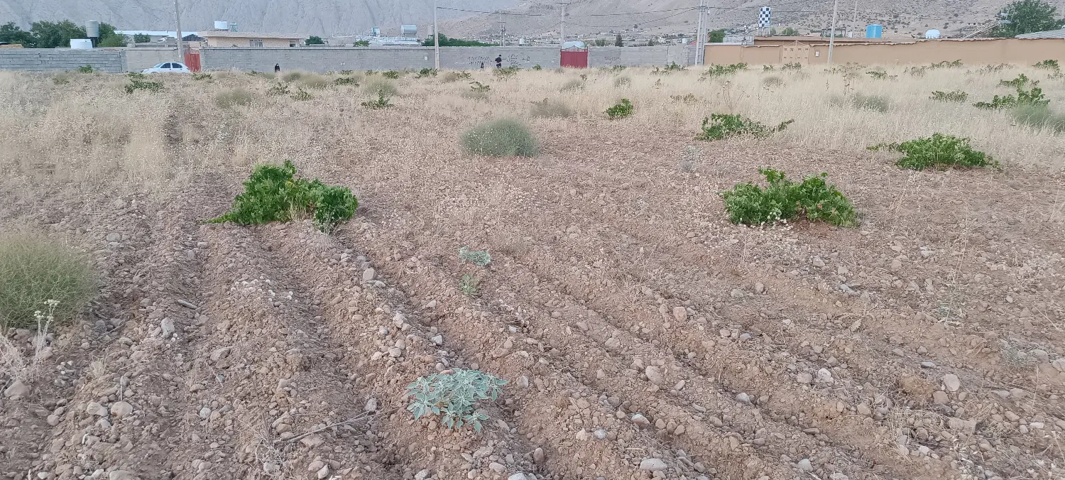 فروش باغ شهری