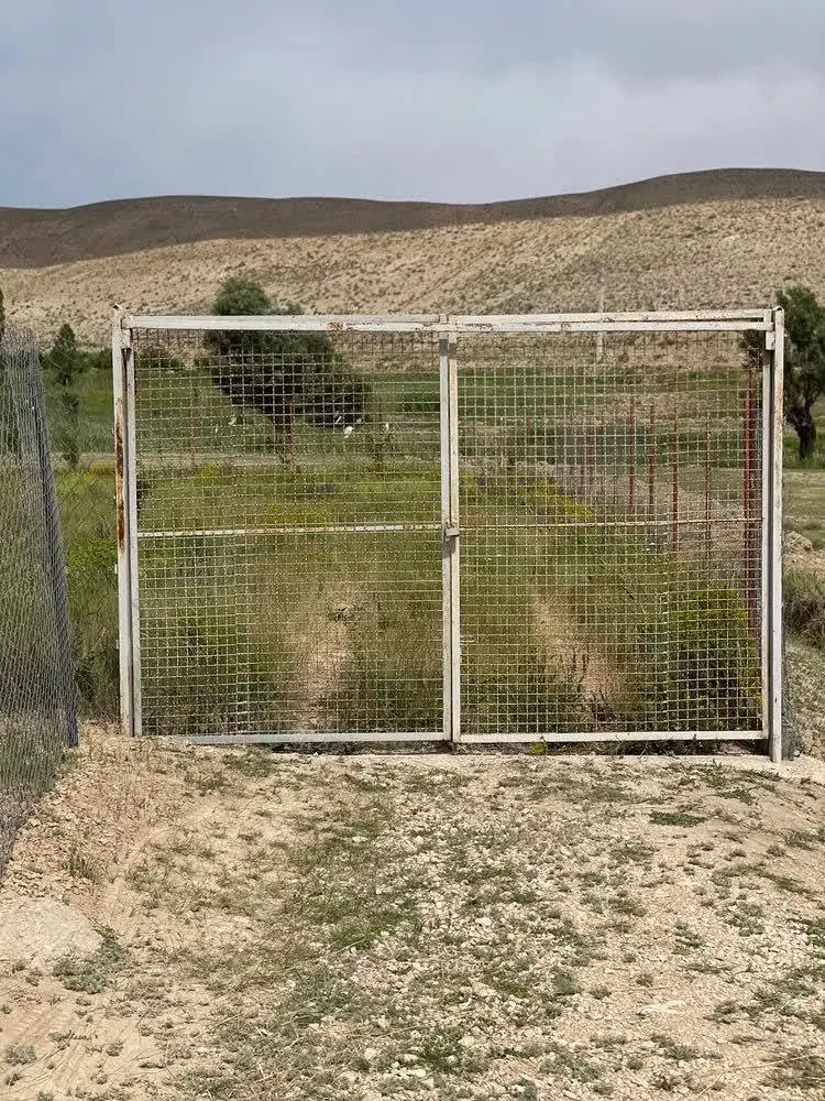 زمین باغی