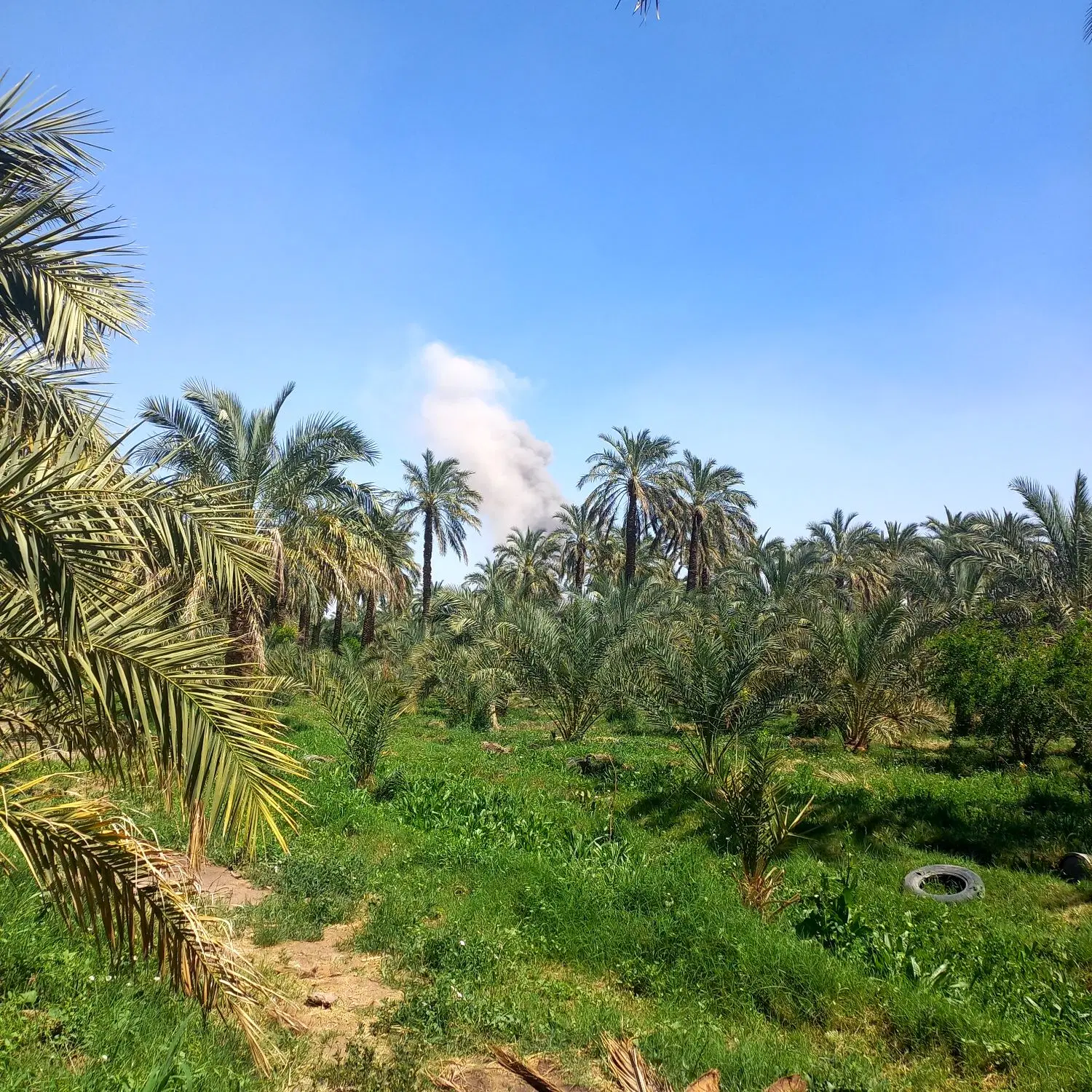 خانه