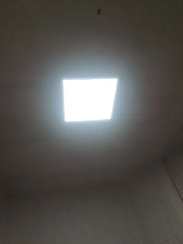 همخونه