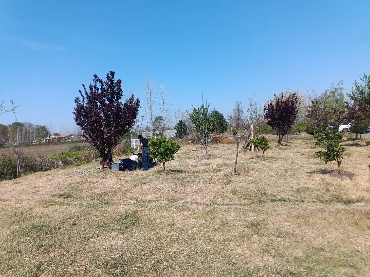 فروش زمین مسکونی (کوچصفهان)