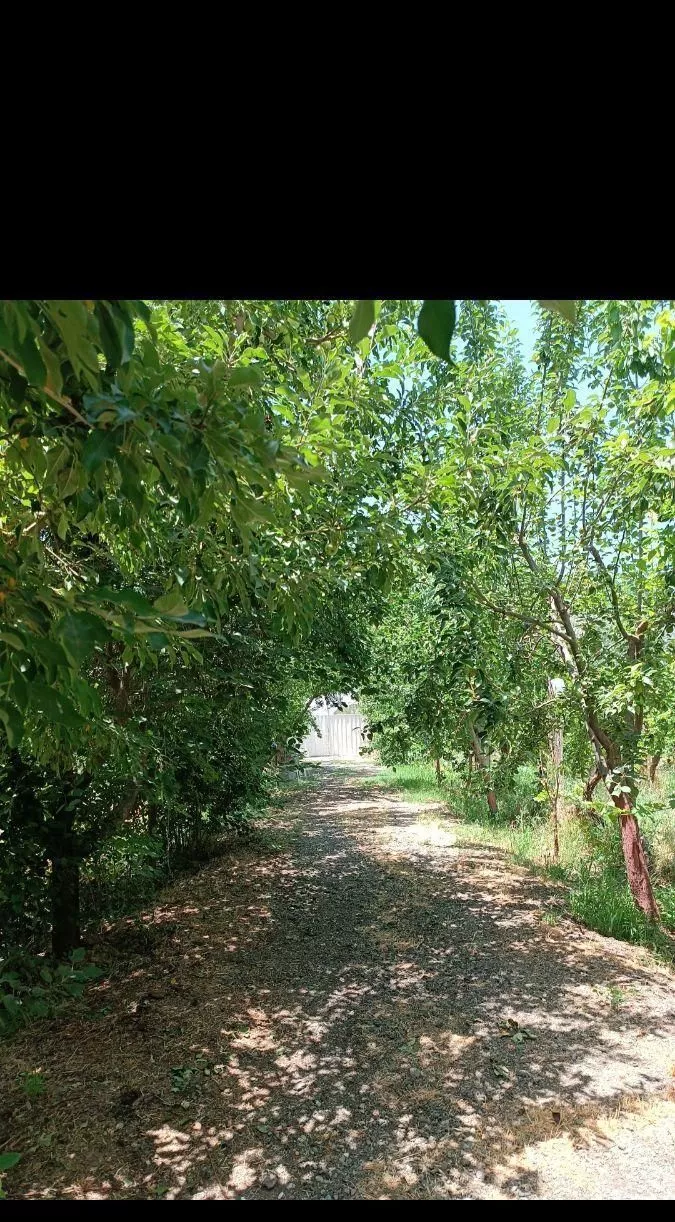 باغ۵۰۰متر سنددار.چهاردیواری.اب.برق،گاز