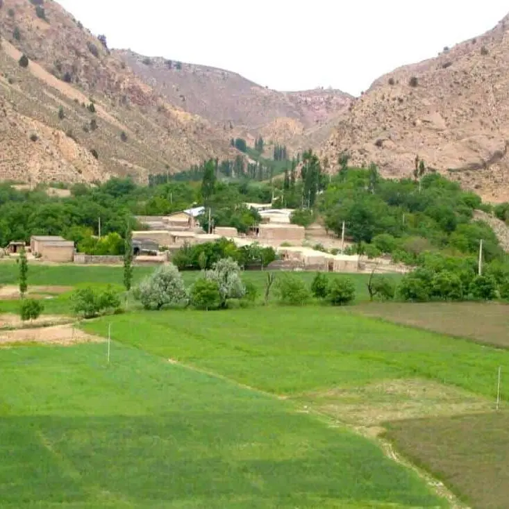 فروش زمین