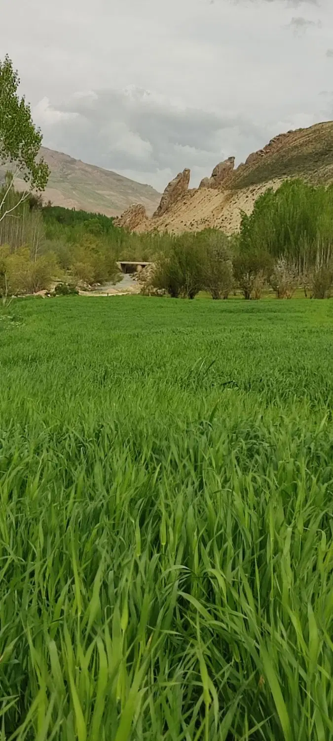 زمین تجاری بر بلوار اصلی مروارید یک