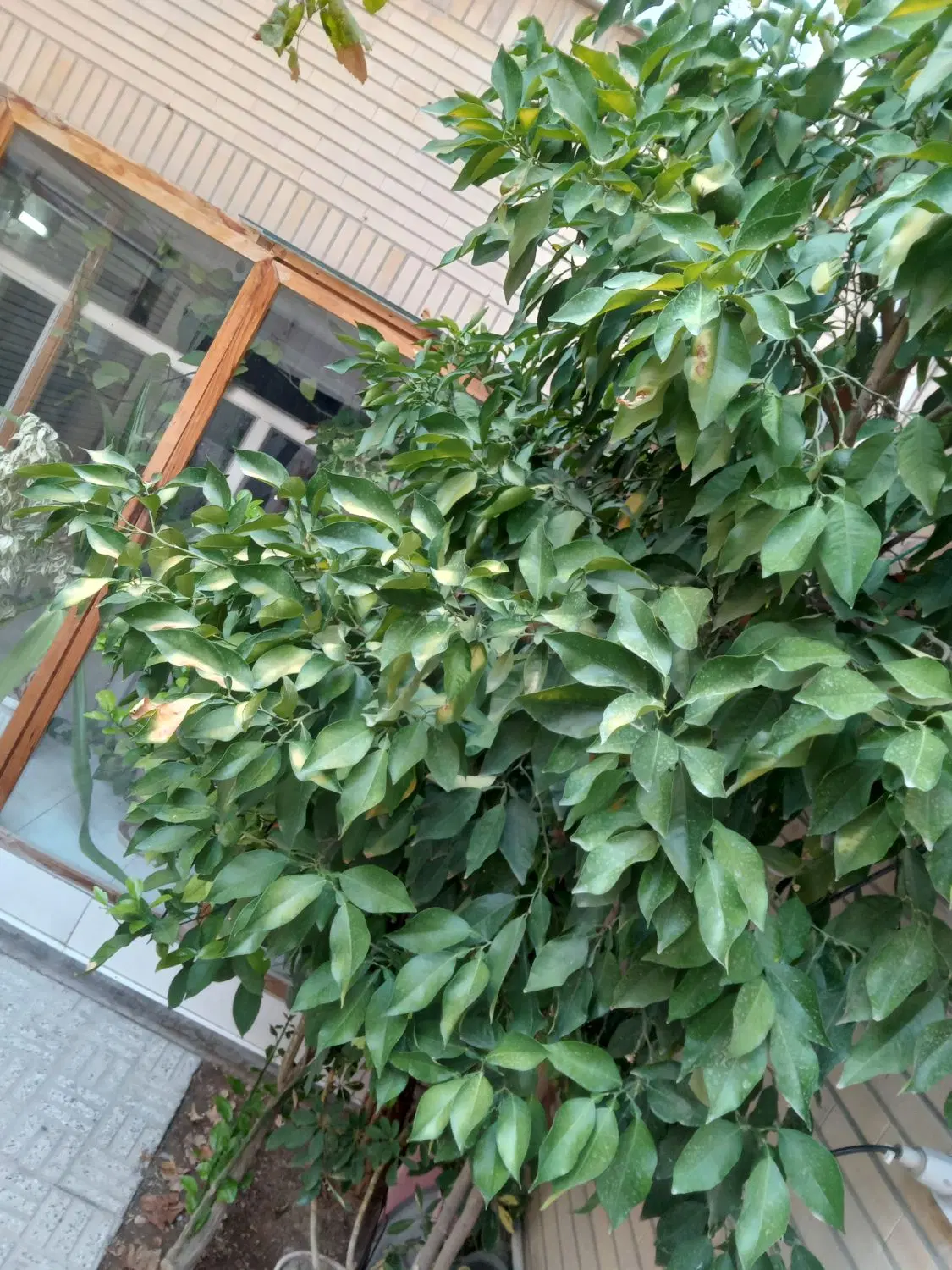 فروش منزل ویلایی