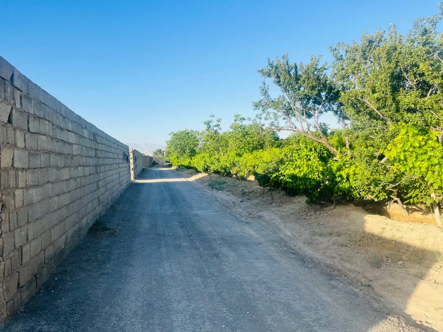 فروش زمین باغی