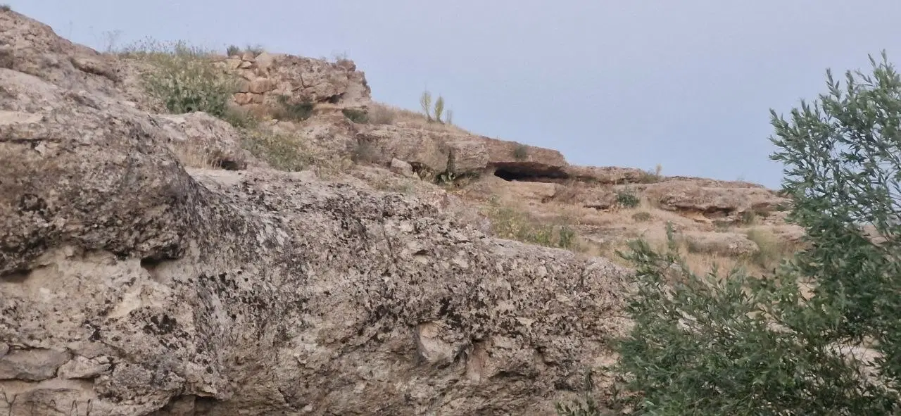 زمین فروشی