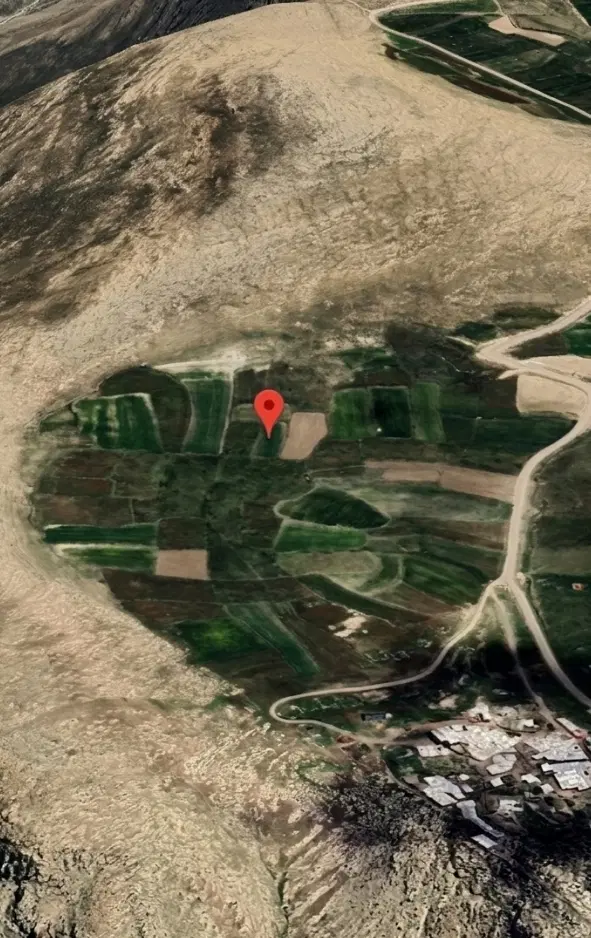 زمین زراعی در روستای تکمه عجم