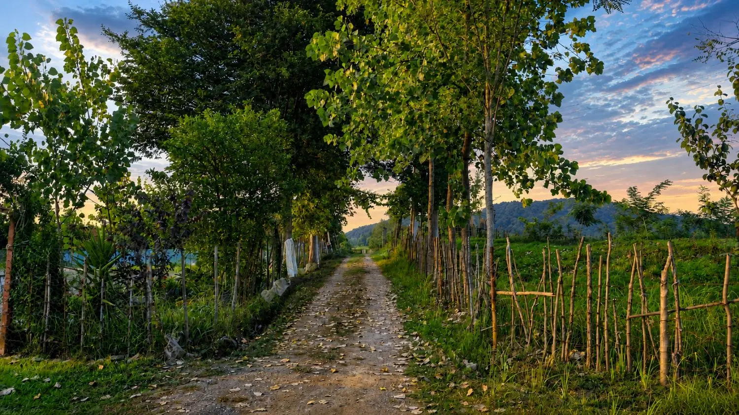 زمین مسکونی در منطقه زیبا
