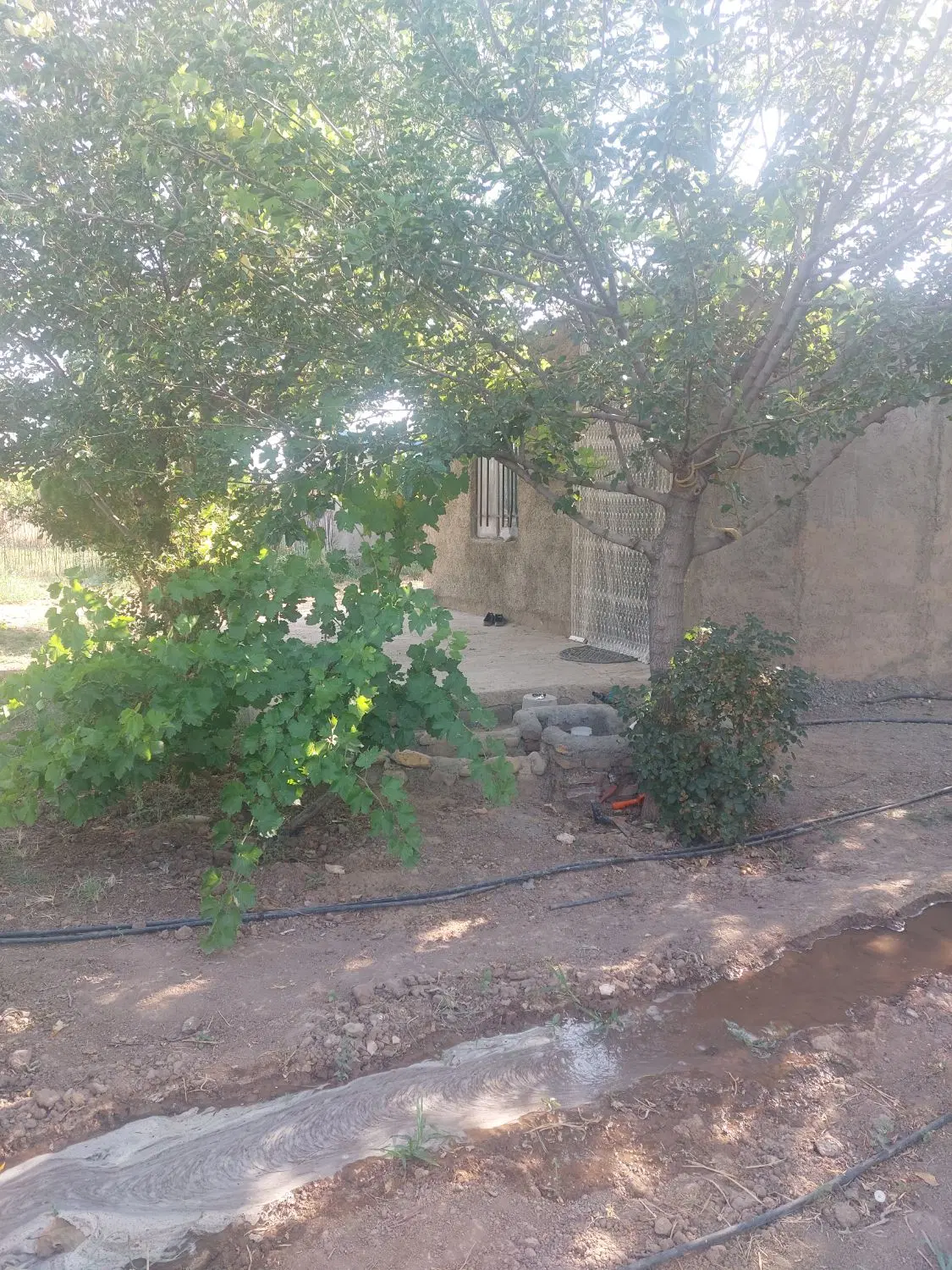 باغچه 1100 متری