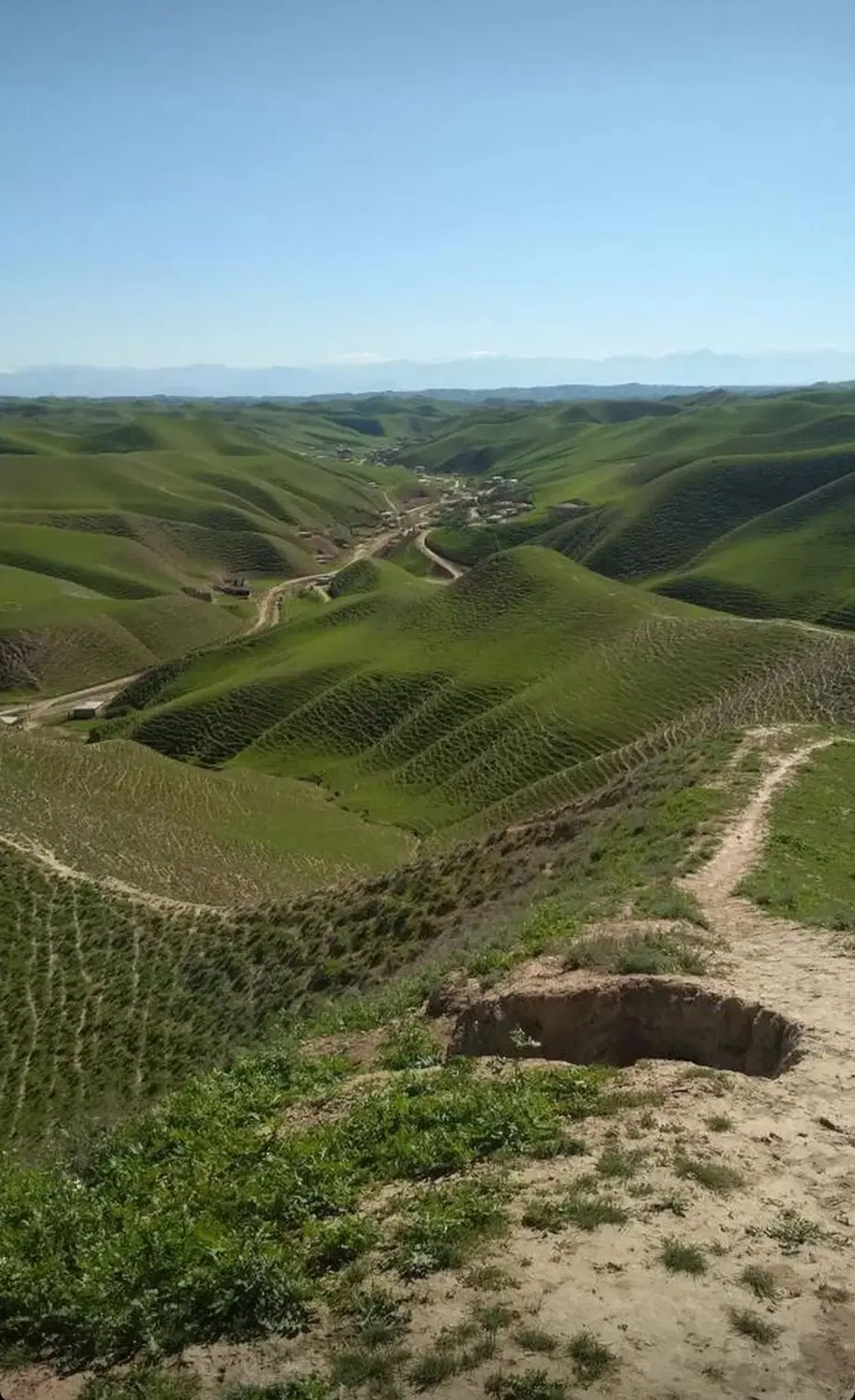 زمین تجاری بر کاخ