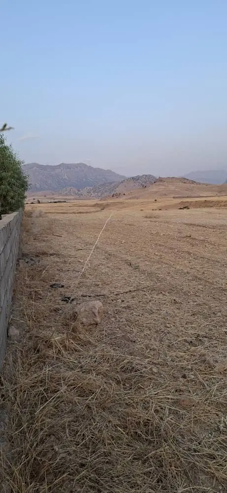 زمین کشاورزی