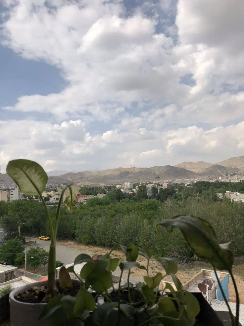 ۶۲متر ویوابدی