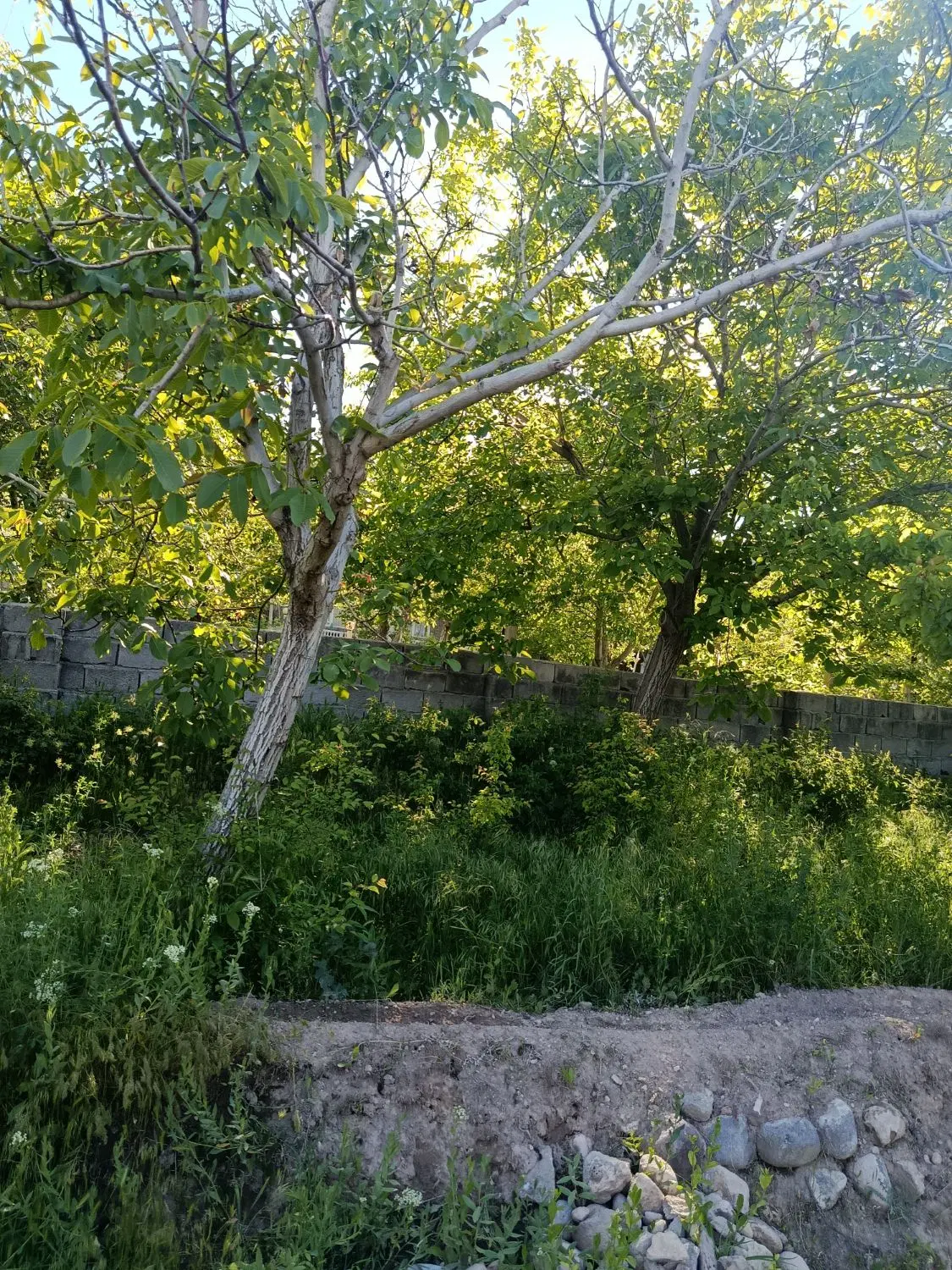 باغ به متراژ ۶۰۰متر دارای انشعابات اسکو