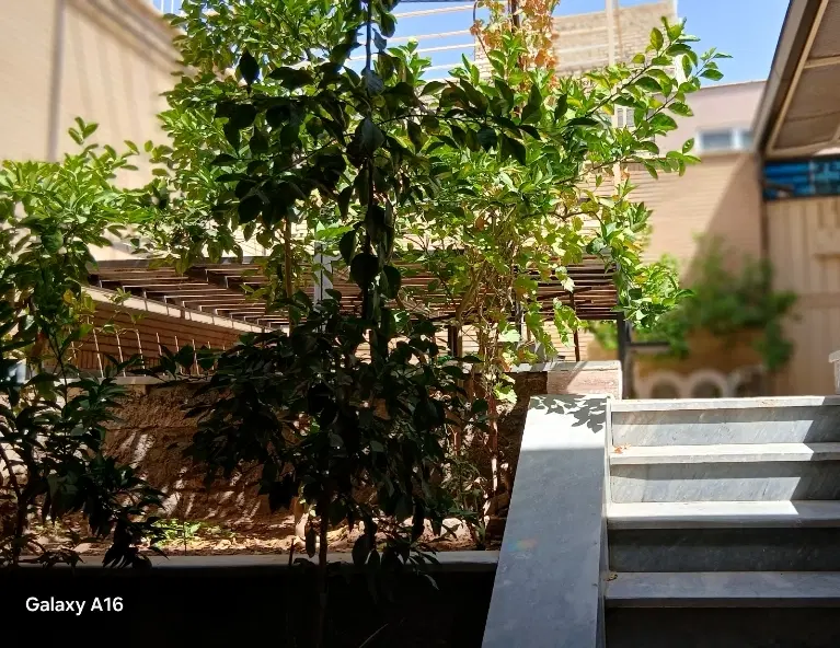 منزل گل خونه ای نزدیک بازارچه مهستان