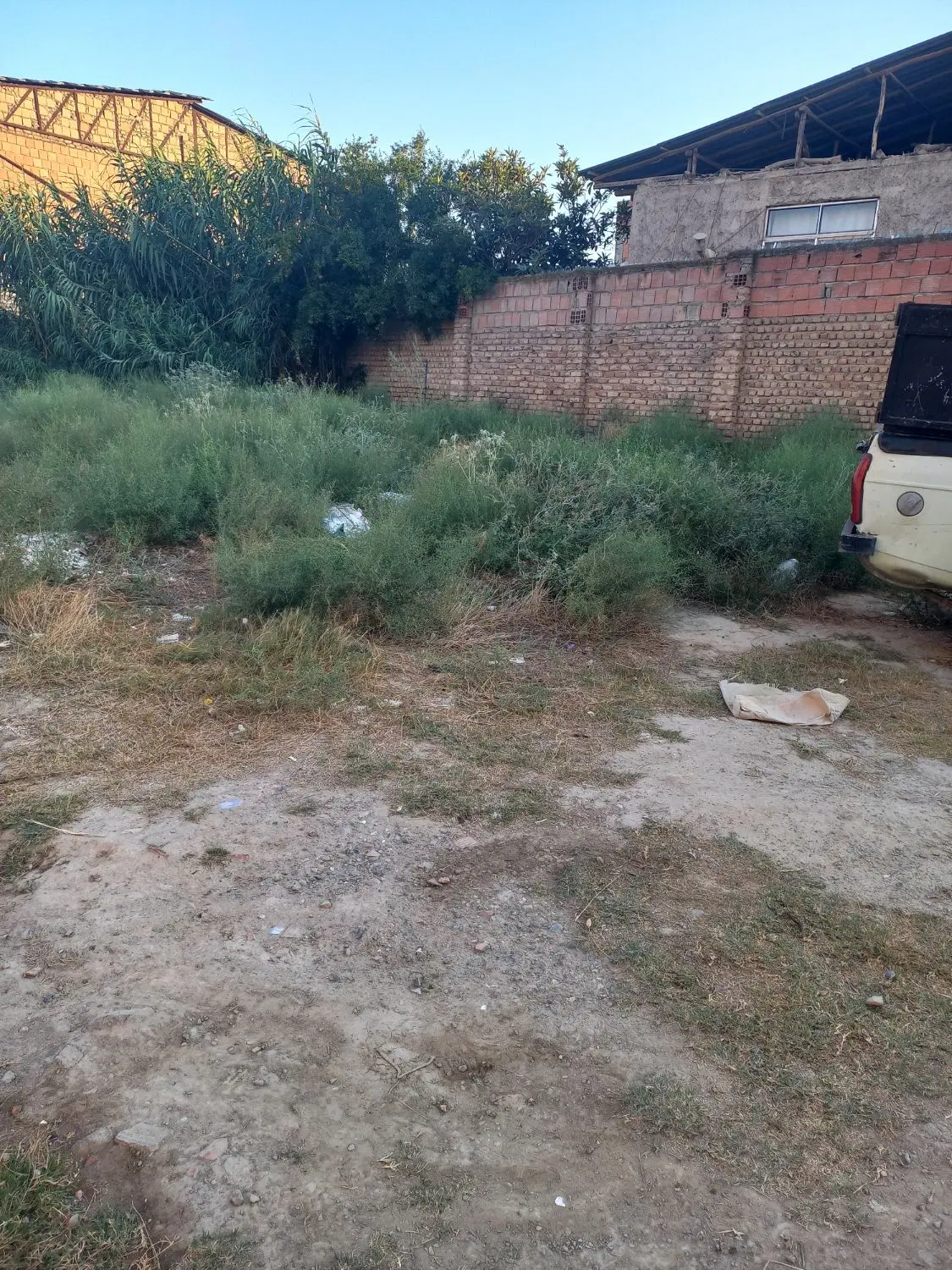 زمین زنگیان