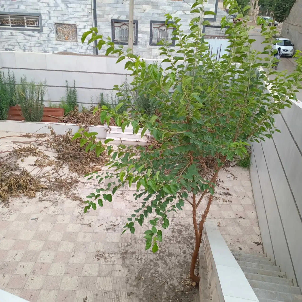فروش خانه دو واحده