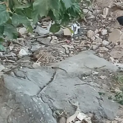 زمین باغچه