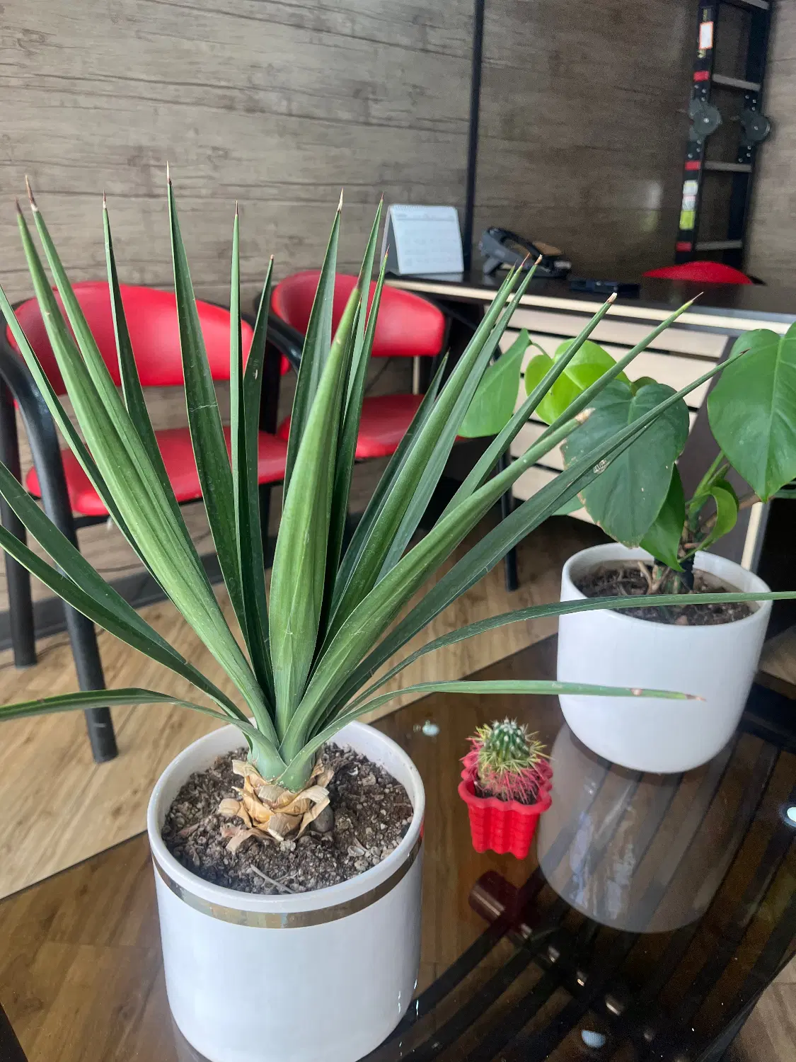 منزل دربستی