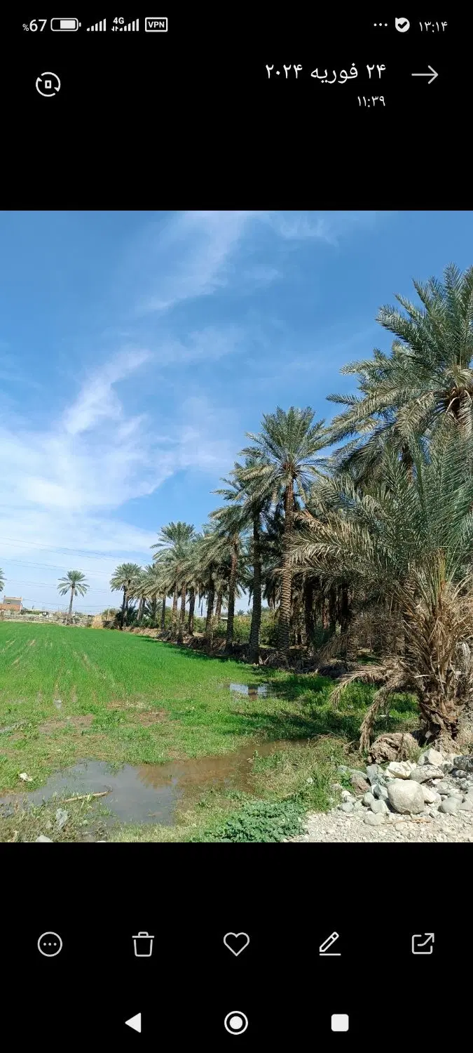 اجاره زمین کشاورزی