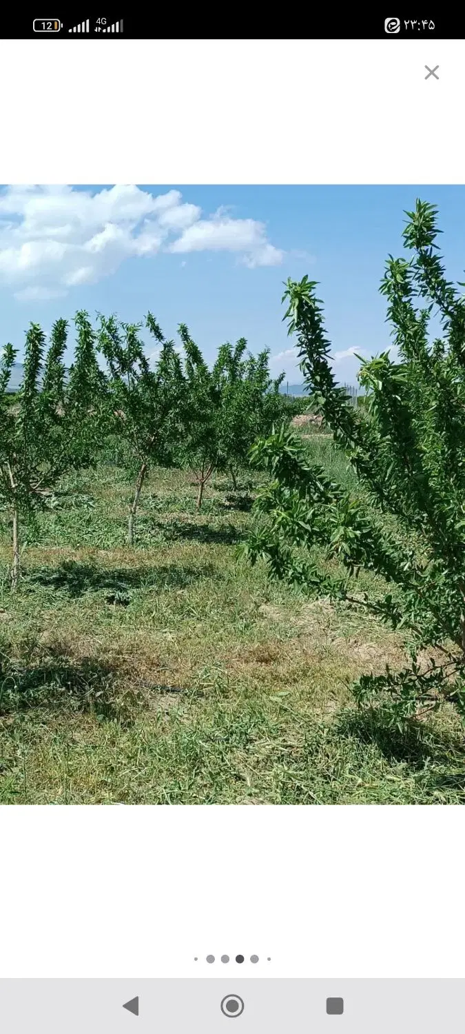 باغ ویلای 270 میلیون تومان صوفیان