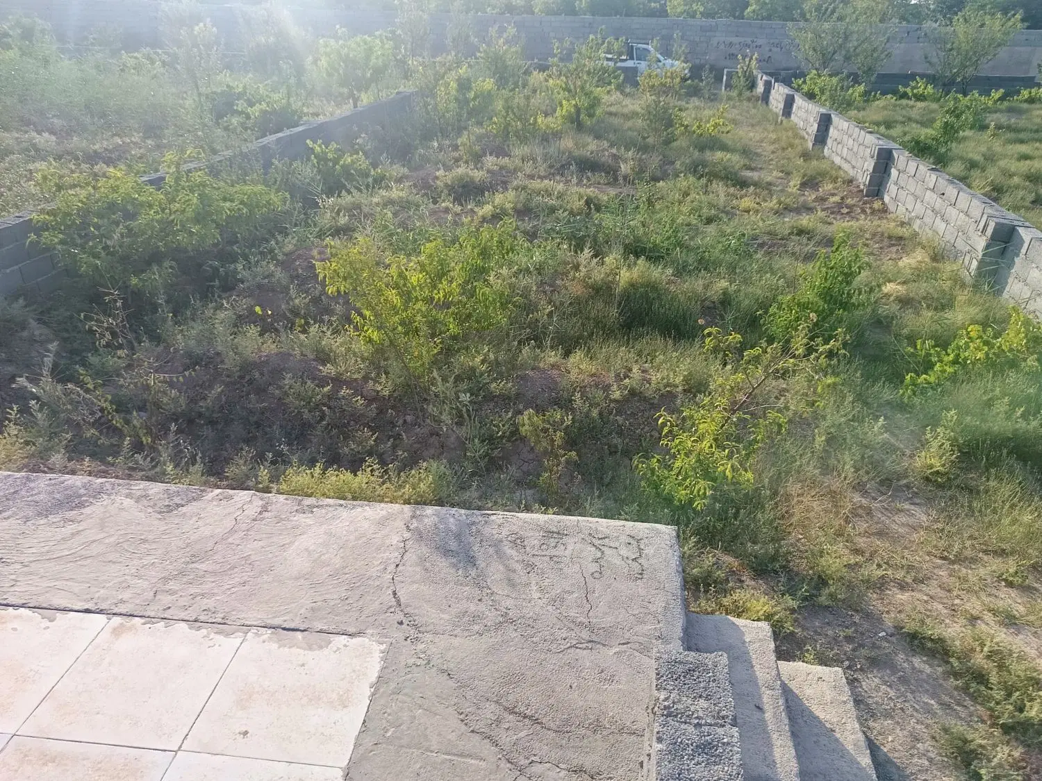 باغچه 300 متری