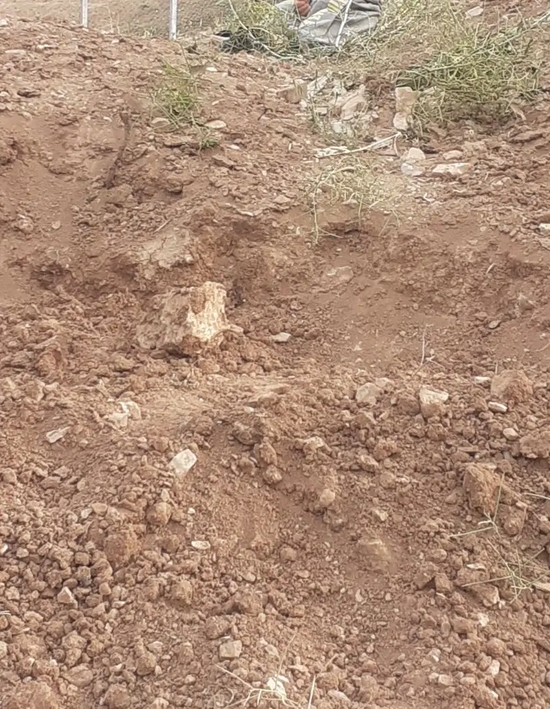 زمین مادوان