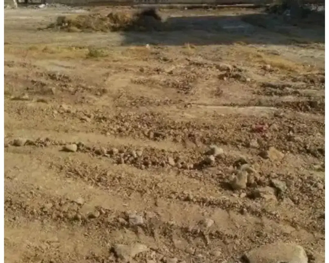 ۱۲ زمین محمد اباد میثم