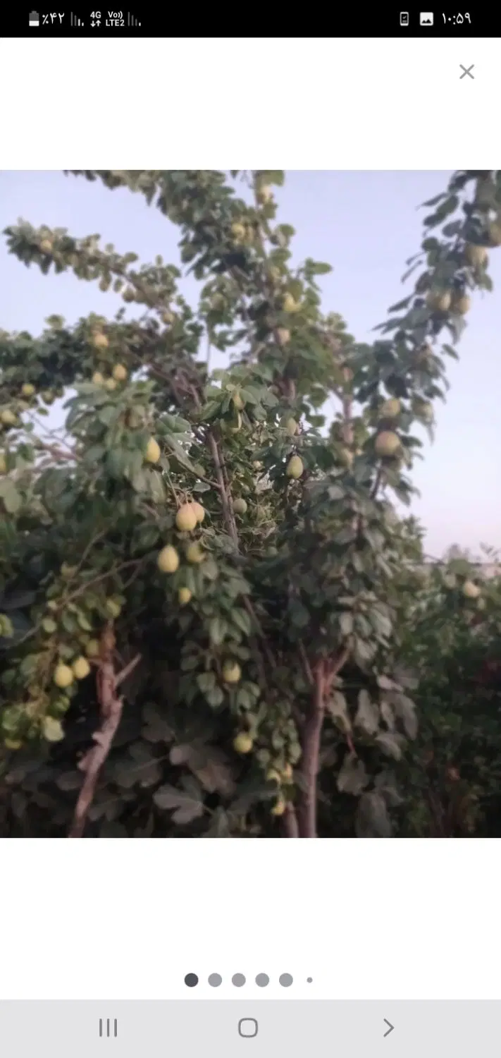 باغ ویلا ۳۷۰۰ متر