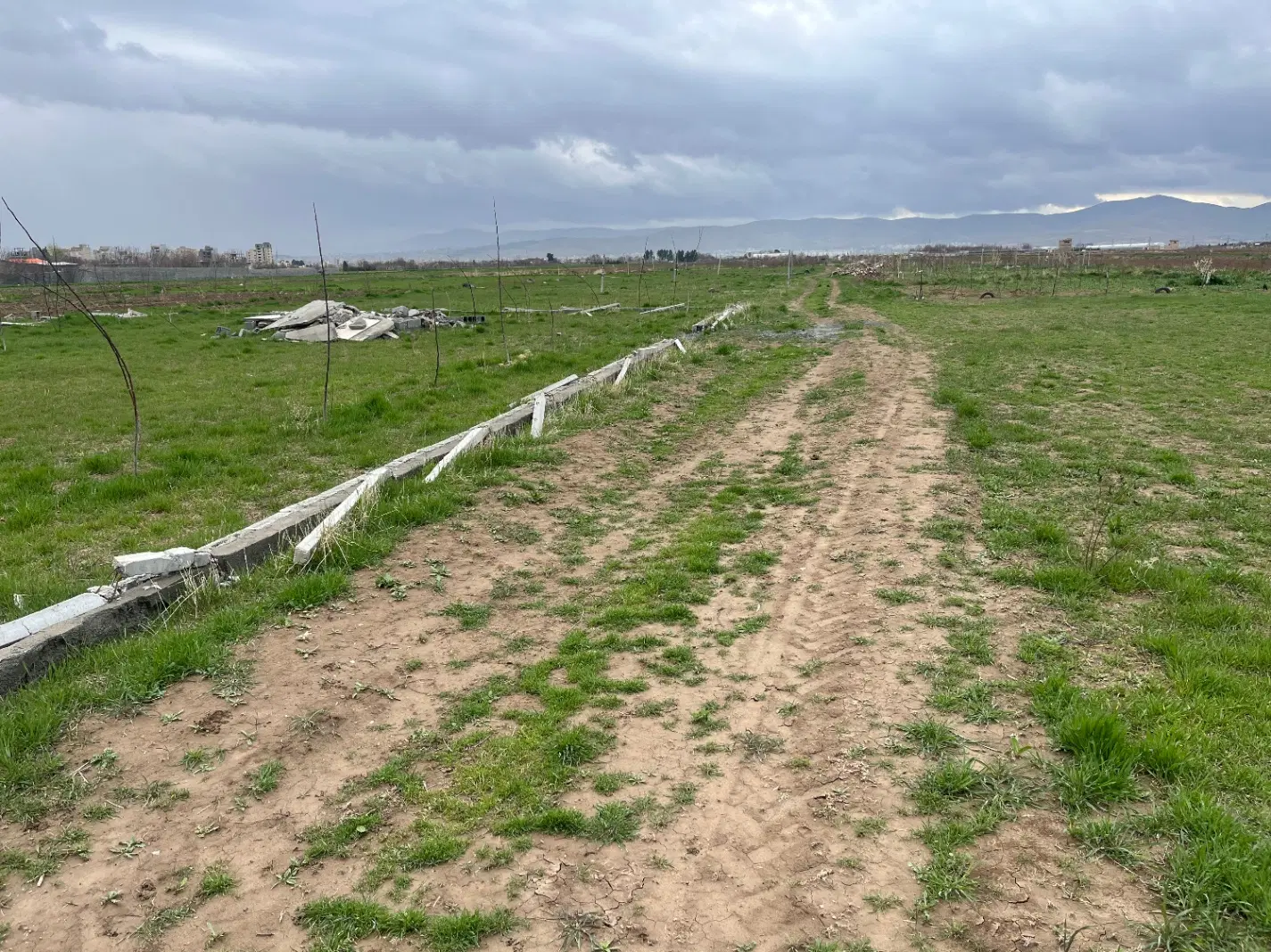 زمین مناسب باغ و باغچه