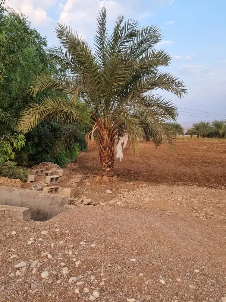 فروش زمین خونه باغی