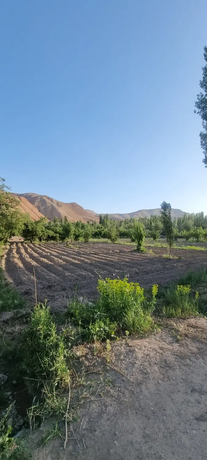 فروش زمین فرصت سرمایه‌گذاری