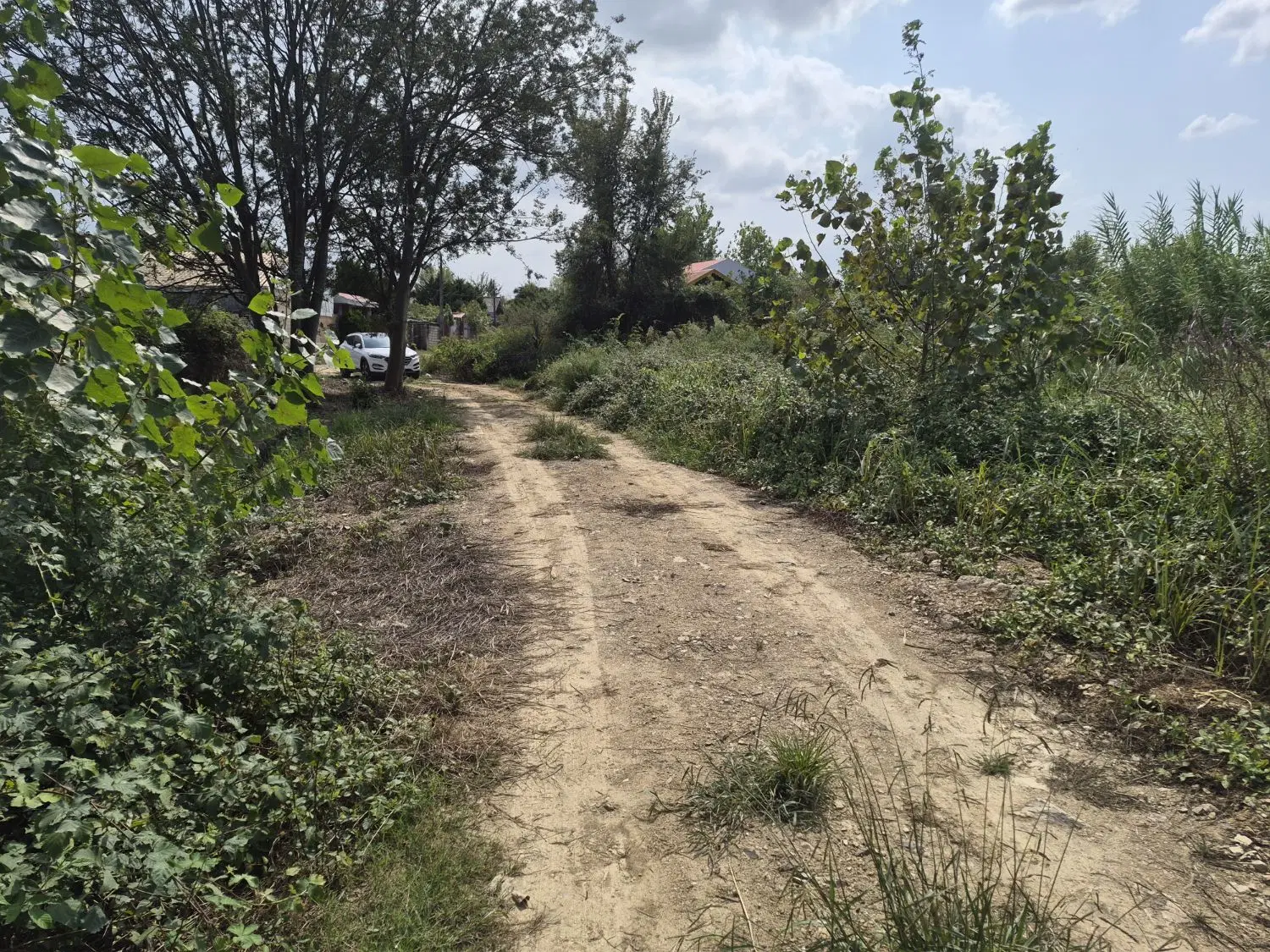 فروش زمین باغی