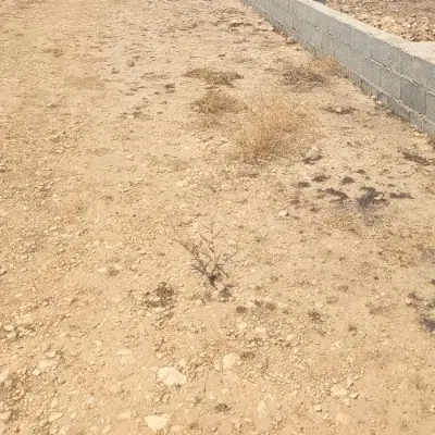 فروش زمین مسکونی