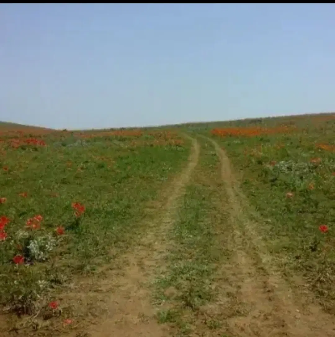 زمین روستای دوستوند