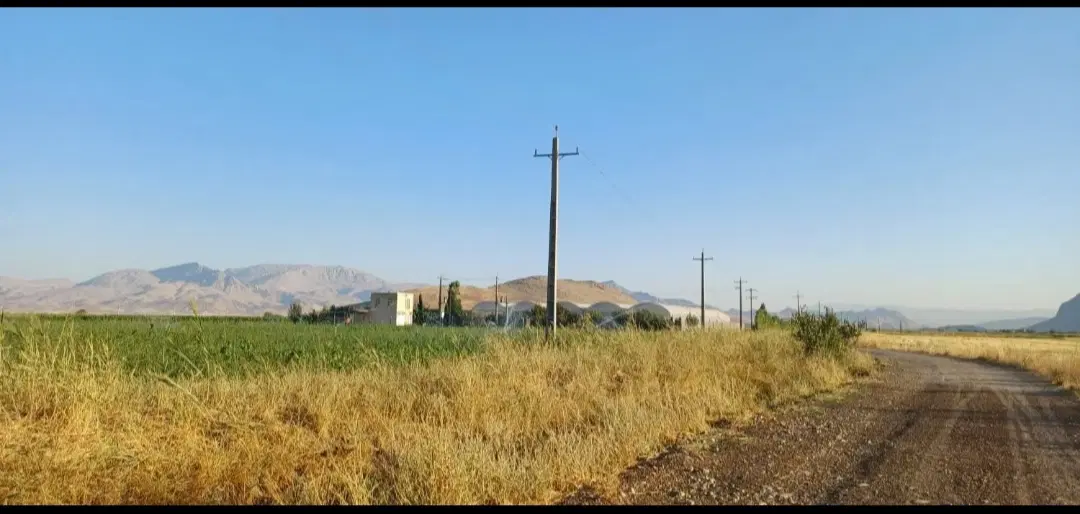 زمین کشاورزی دیم