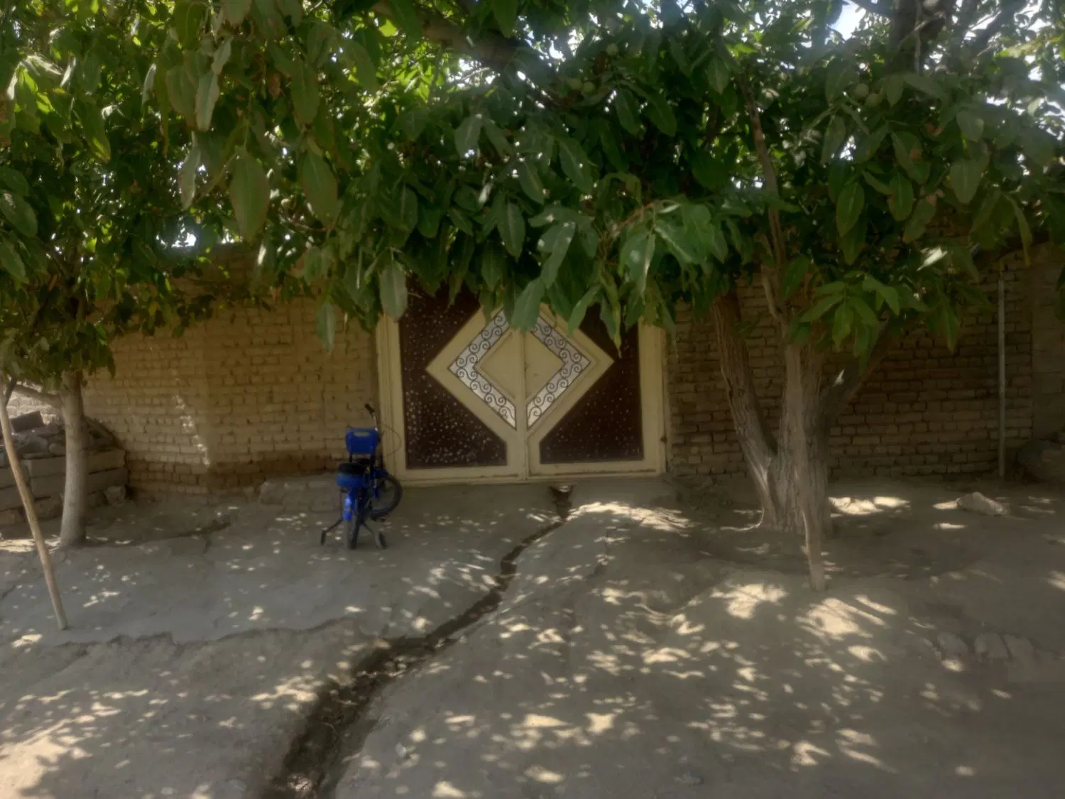 حیاط ویلای