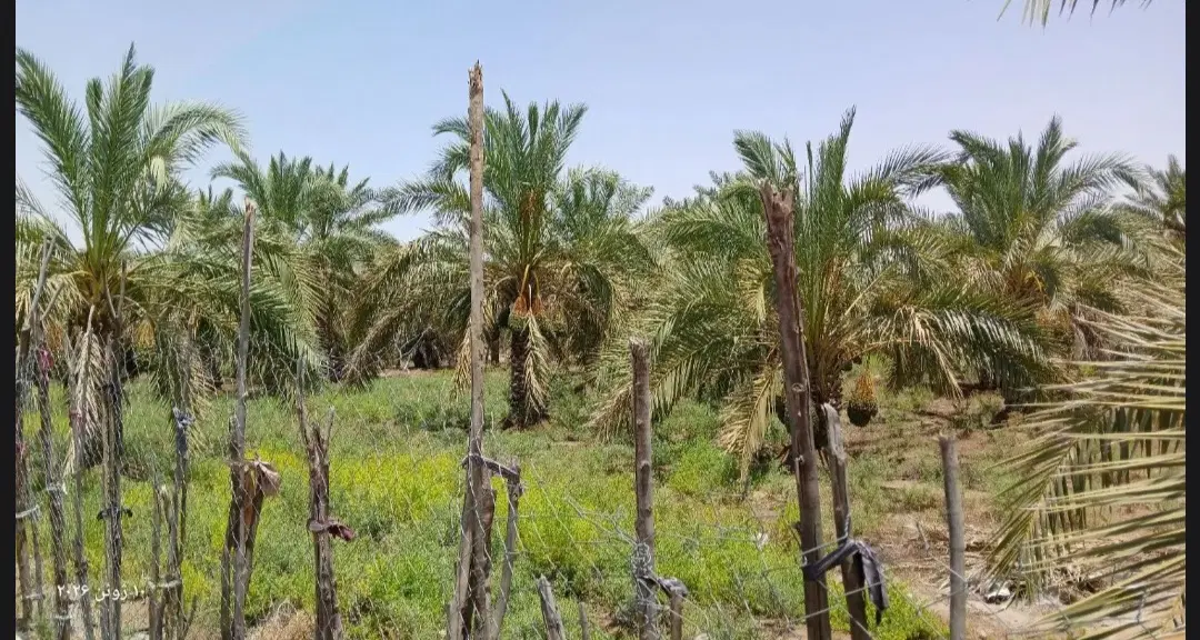 فروش خانه و امکانات دیگر توضیحات مطالعه کنید